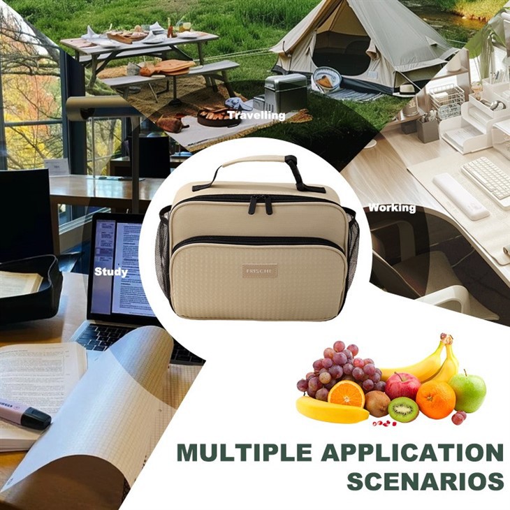 Exquisite Lunch Bag For Women 6.3L